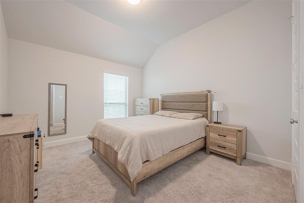 29042 Hauter Way, Fulshear, Texas image 24