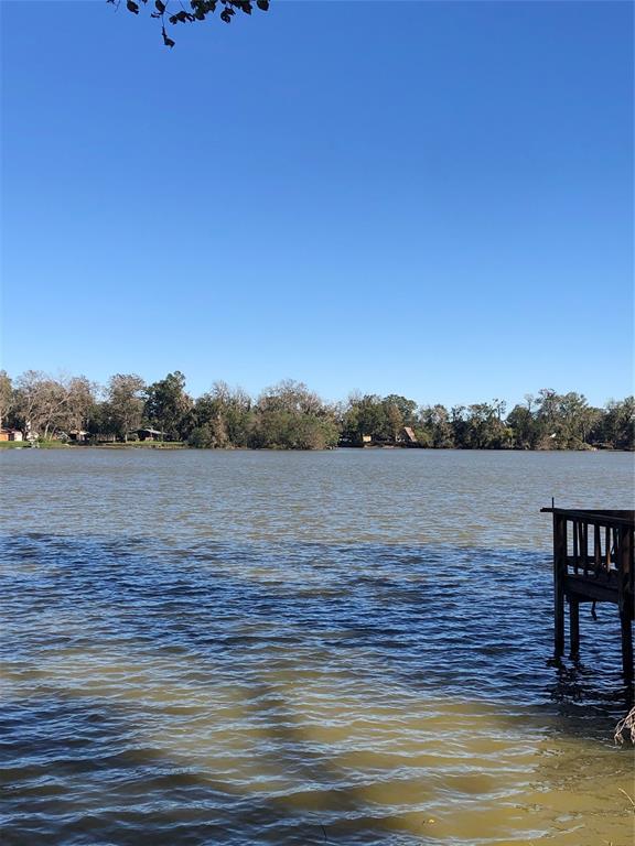 1544 E Taylor Lake Circle, Livingston, Texas image 19