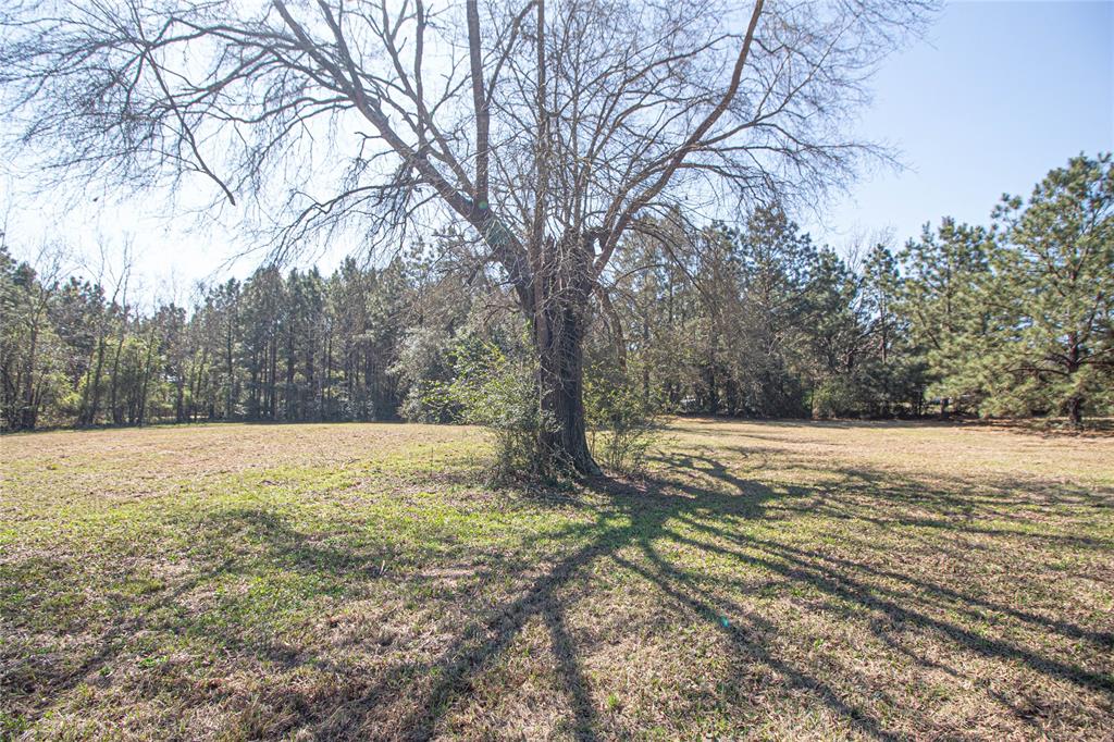 5254 State Highway 146, Livingston, Texas image 50