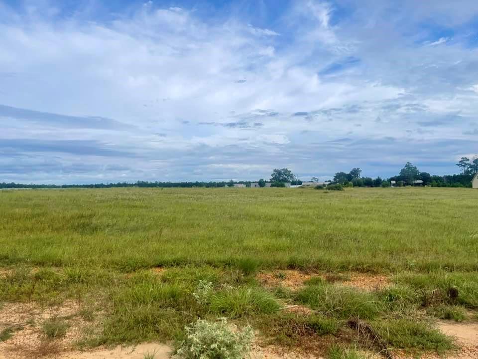 TBD Overhill Ct Lot 197, Hillister, Texas image 1