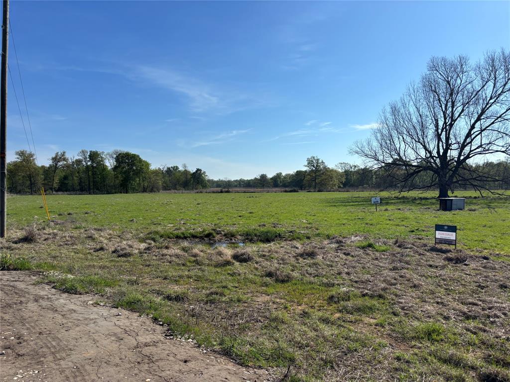 85 County Road 231, Centerville, Texas image 2