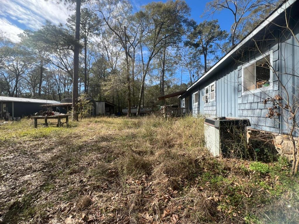 441 Hoot Road, Shepherd, Texas image 9