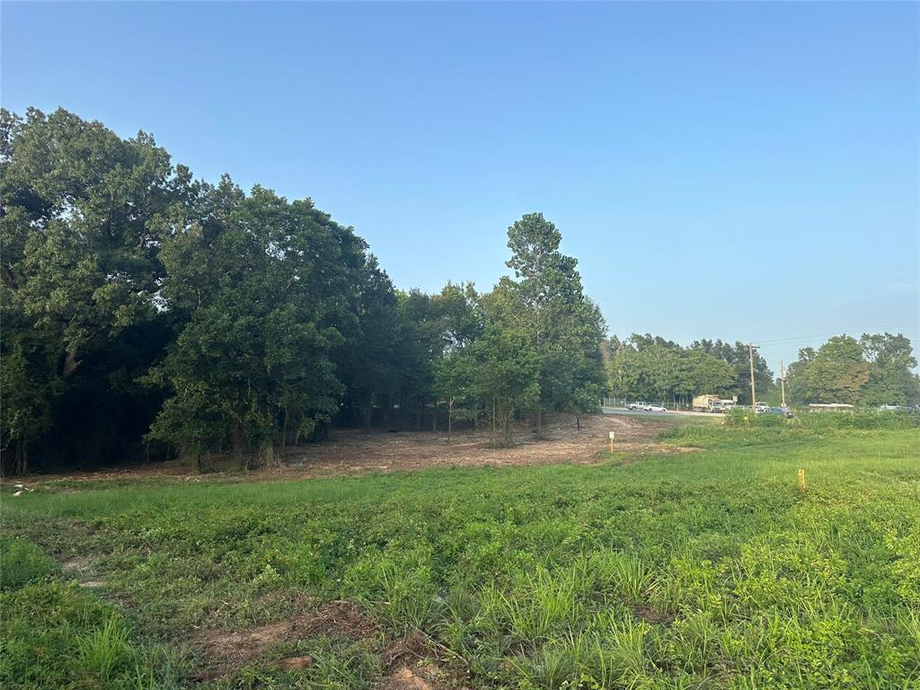 TBD Lot 6 C R 386, Tyler, Texas image 3