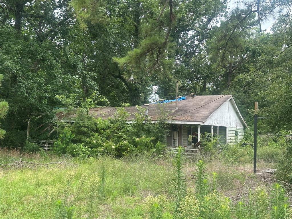 16770 Louis Lane
