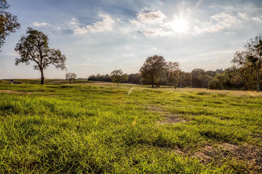 TBD Sunny Meadow Lot 23 Drive, Chappell Hill, Texas image 1