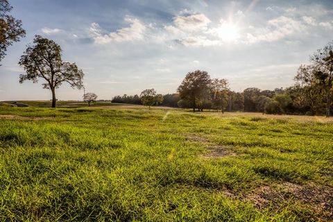 Photo of TBD Sunny Meadow Lot 23 Drive, Chappell Hill, TX 77426 (MLS # 54259296) Photo of TBD Sunny Meadow Lot 23 Drive, Chappell Hill, TX 77426 (MLS # 54259296)