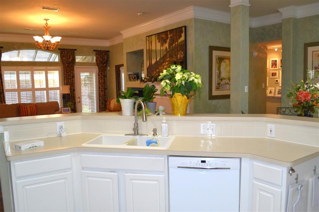 14 Mulberry Glen Place, Spring, Texas image 18