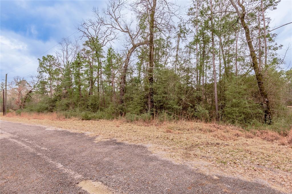 Lot 38 & 40 Hideaway Drive, Trinity, Texas image 6