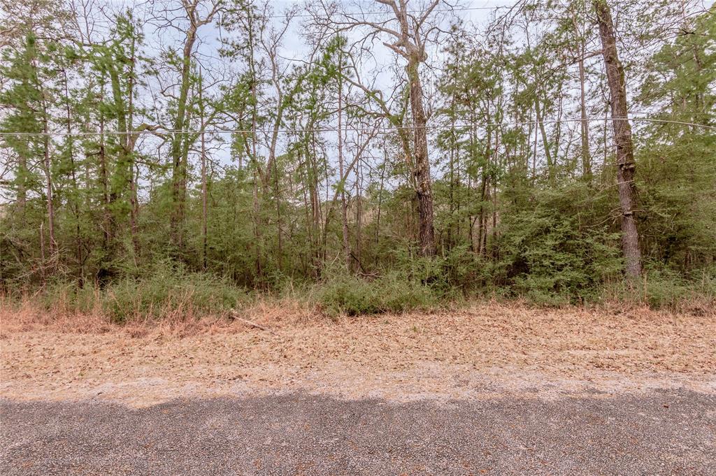 Lot 38 & 40 Hideaway Drive, Trinity, Texas image 8