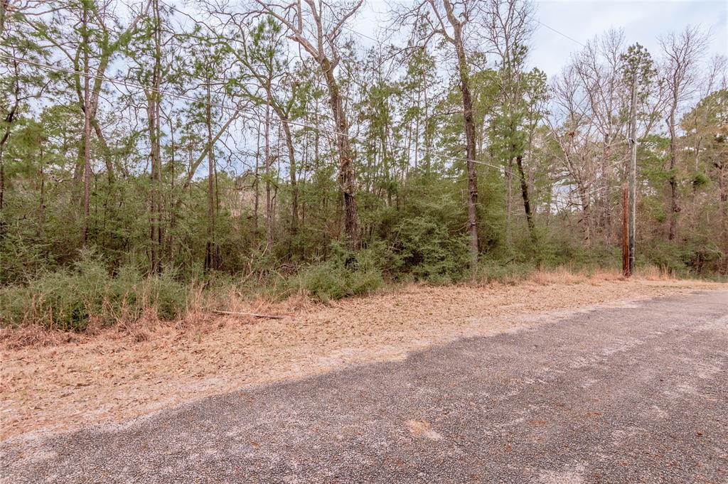 Lot 38 & 40 Hideaway Drive, Trinity, Texas image 9