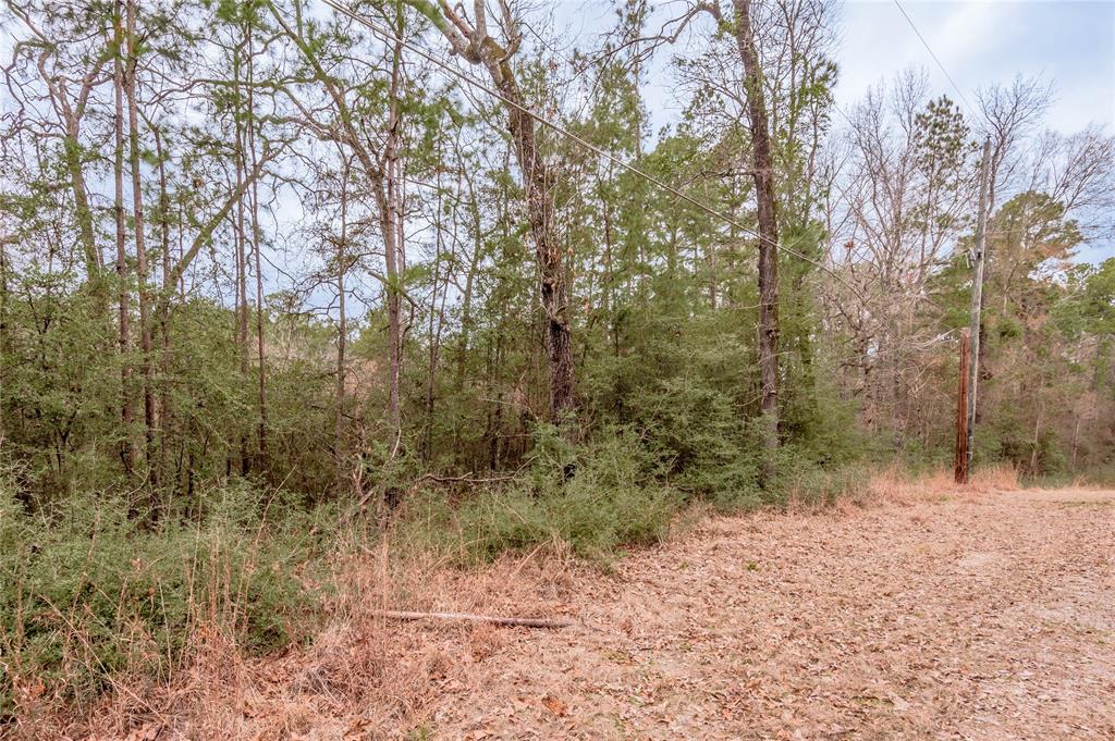 Lot 38 & 40 Hideaway Drive, Trinity, Texas image 10