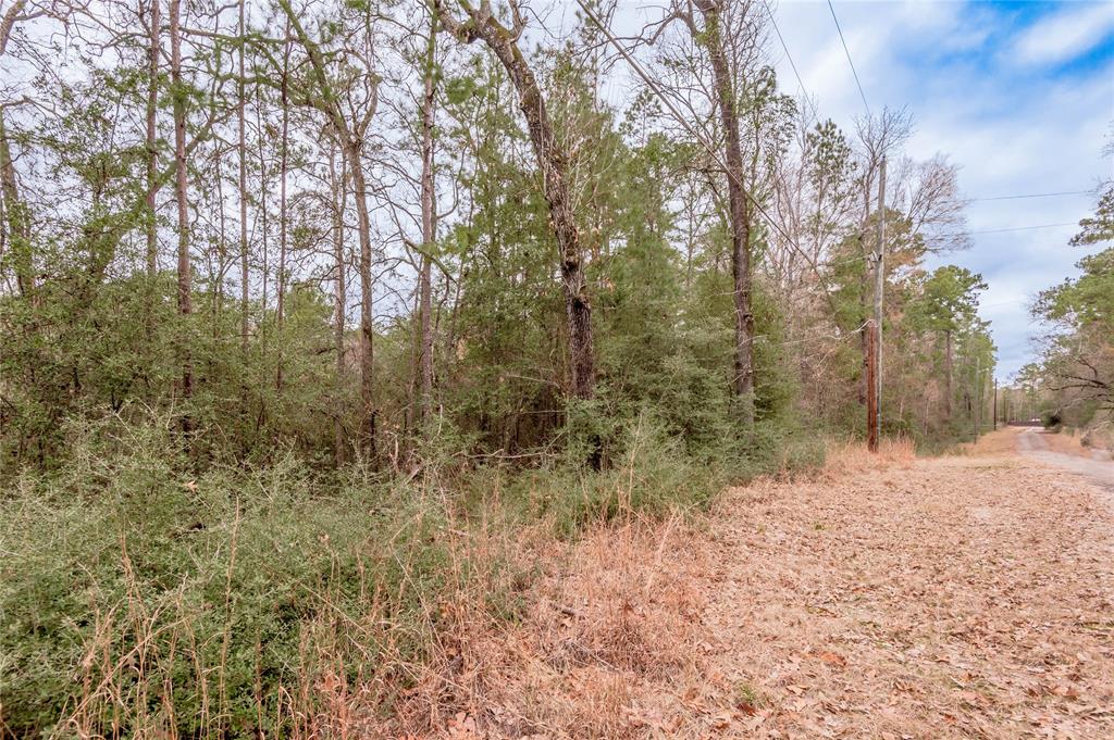 Lot 38 & 40 Hideaway Drive, Trinity, Texas image 11