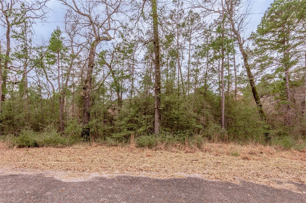 Lot 38 & 40 Hideaway Drive, Trinity, Texas image 7