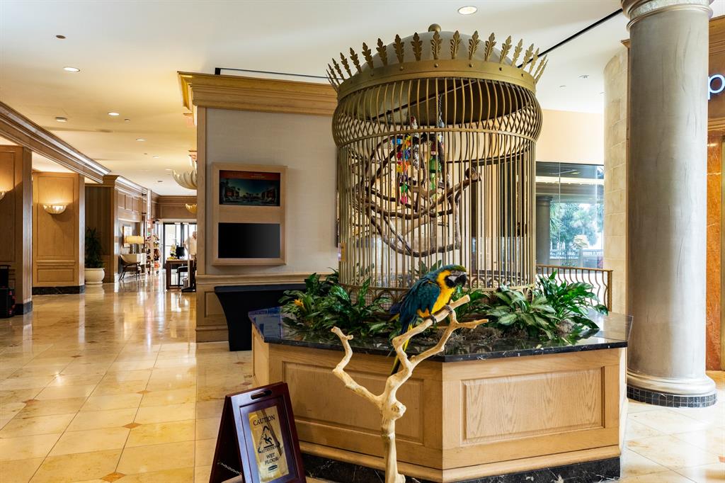 5220 Seawall Boulevard #539B, Galveston, Texas image 34
