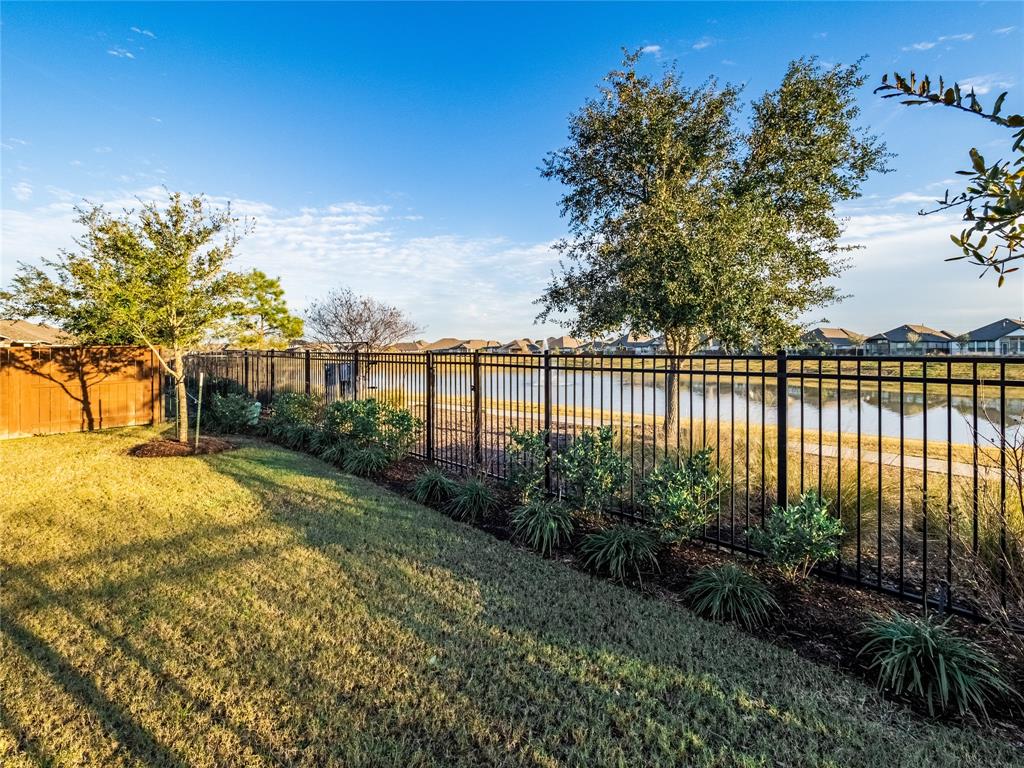 10207 Napier Drive, Iowa Colony, Texas image 33