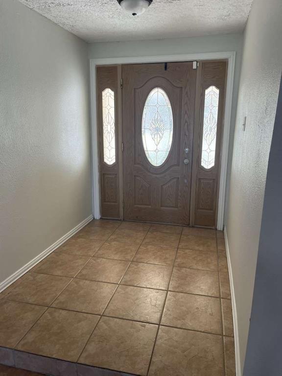 4403 Peridot Lane, Friendswood, Texas image 4