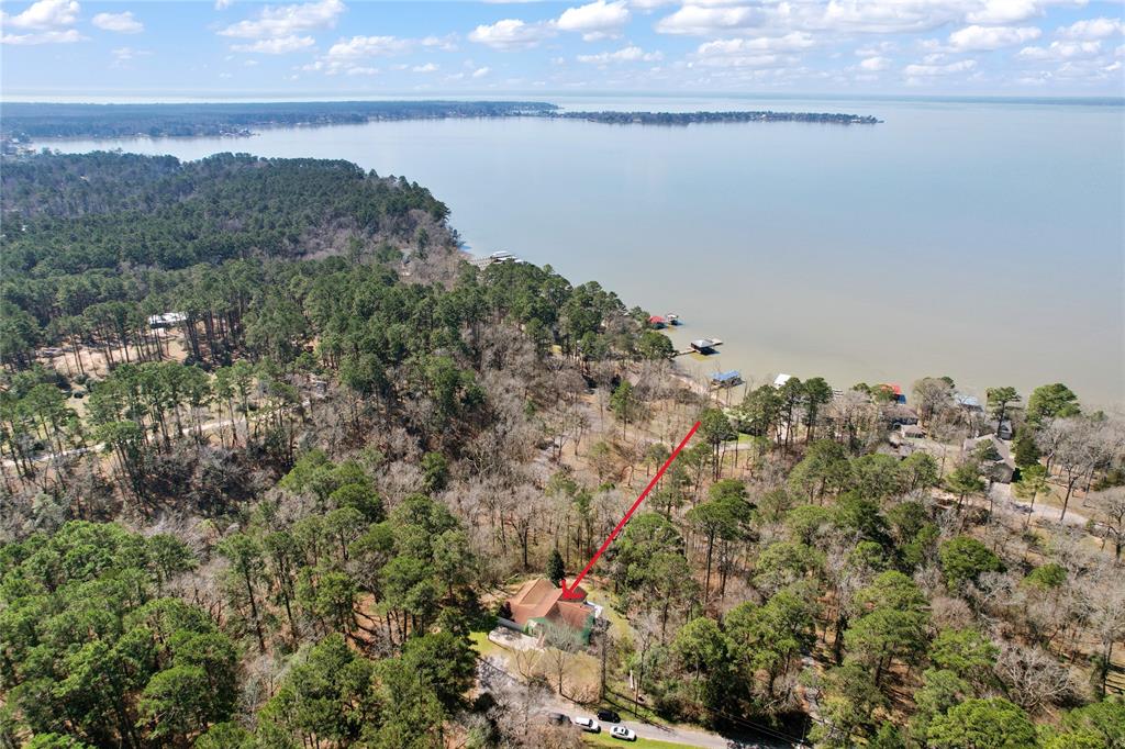 230 Tiki Trail, Livingston, Texas image 5