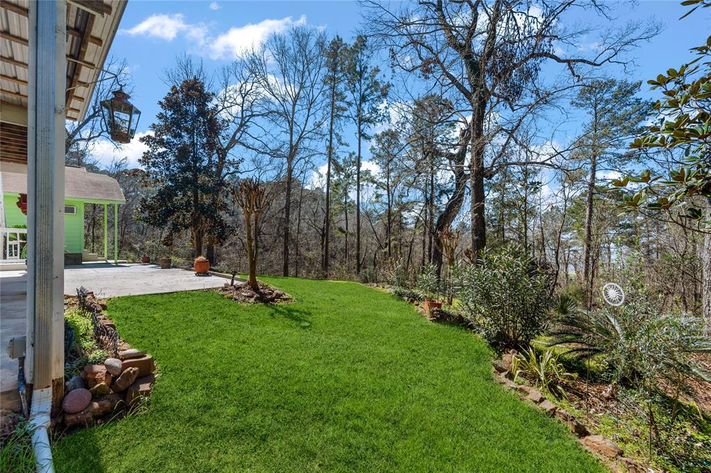 230 Tiki Trail, Livingston, Texas image 50