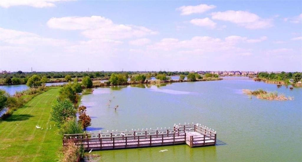 28618 Monarch Cliffs Drive, Fulshear, Texas image 20