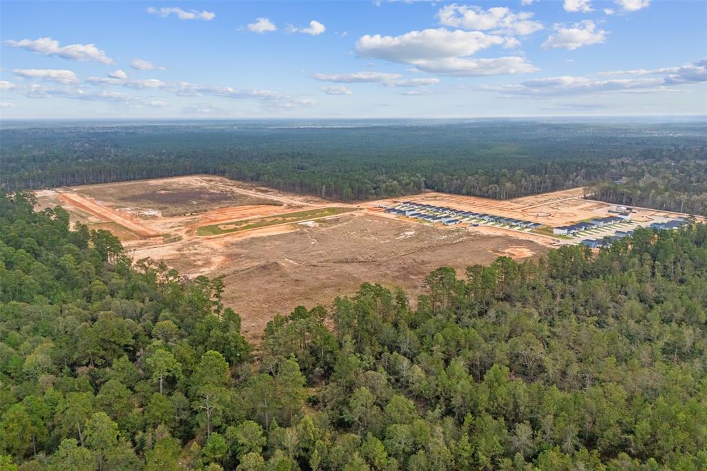 14603 William Trails Drive, Willis, Texas image 24