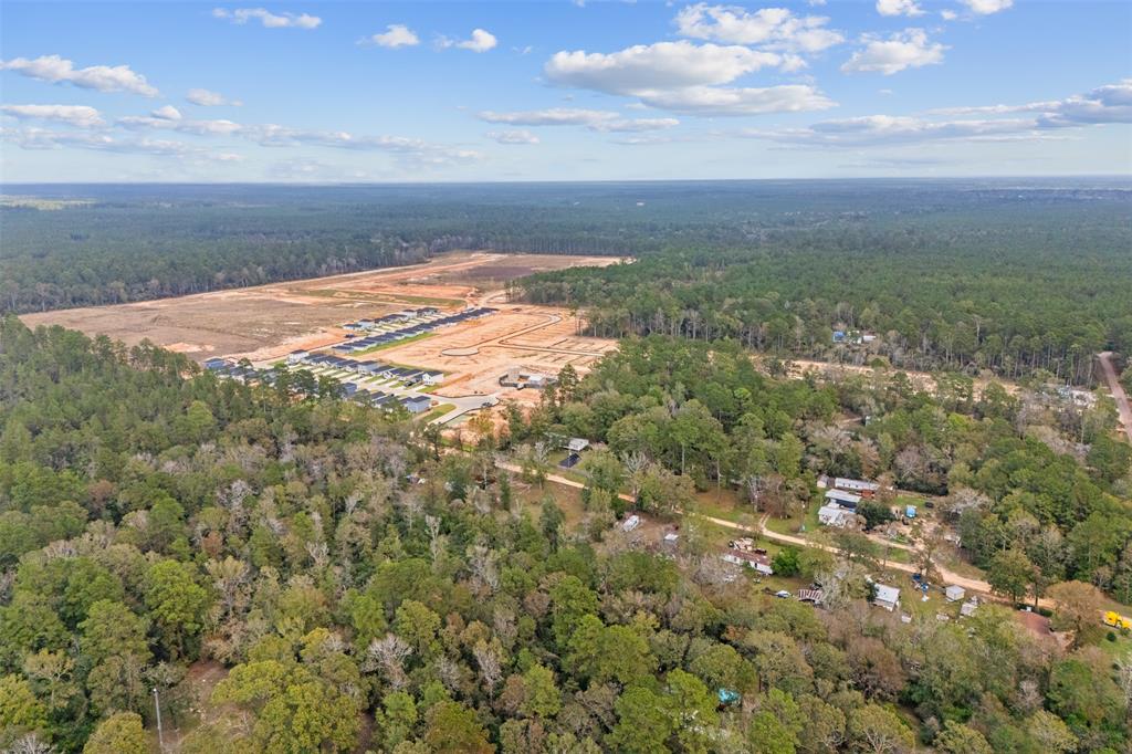 14603 William Trails Drive, Willis, Texas image 23