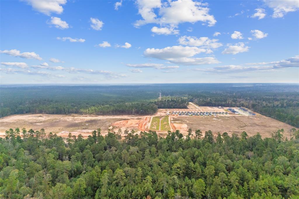 14603 William Trails Drive, Willis, Texas image 22