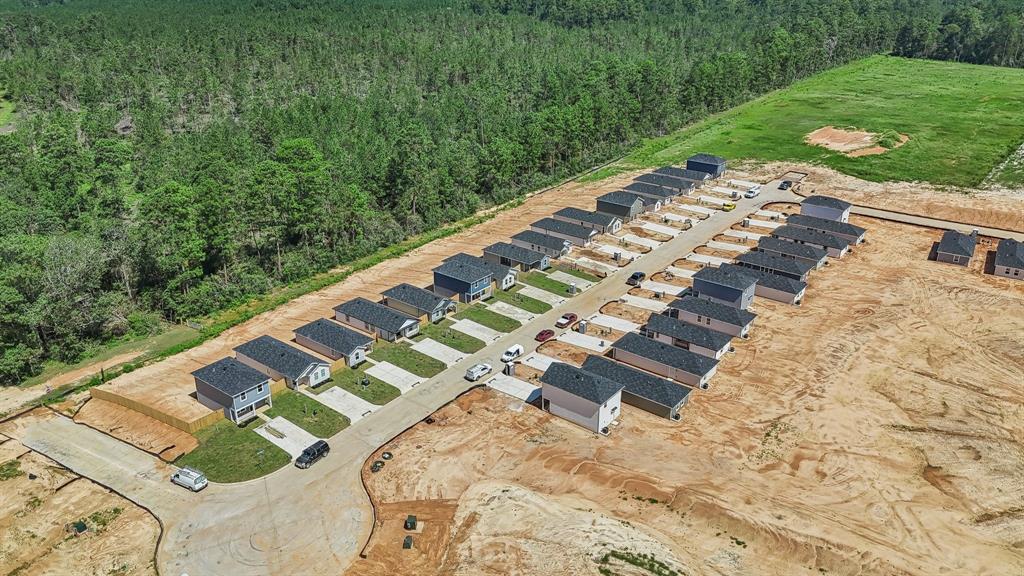 14603 William Trails Drive, Willis, Texas image 20