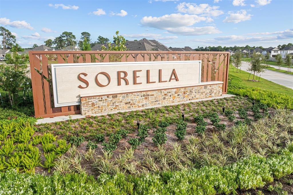 21234 Jacaranda Blossom Way, Tomball, Texas image 14
