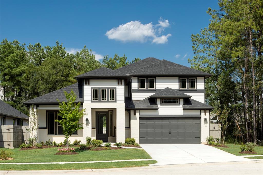 17335 Sunflower Petals Trail, Conroe, Texas image 1