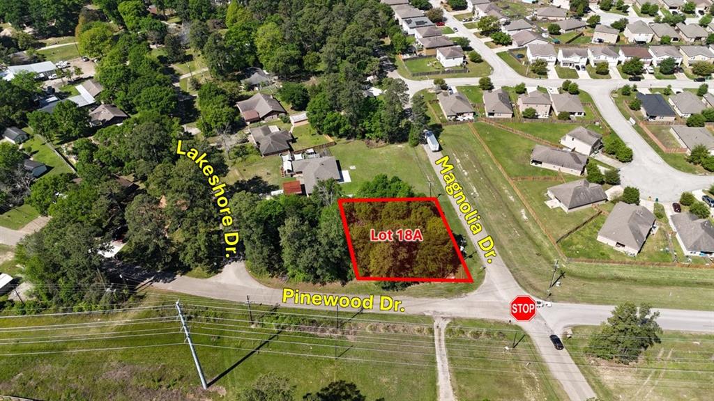 Magnolia Lane, Conroe, Texas image 1