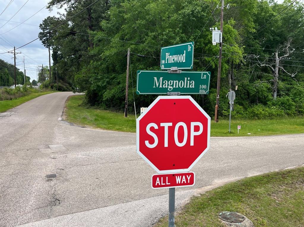 Magnolia Lane, Conroe, Texas image 8