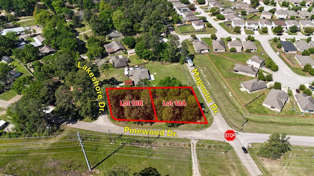 Magnolia Lane, Conroe, Texas image 10