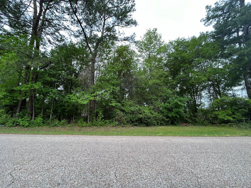 Magnolia Lane, Conroe, Texas image 7