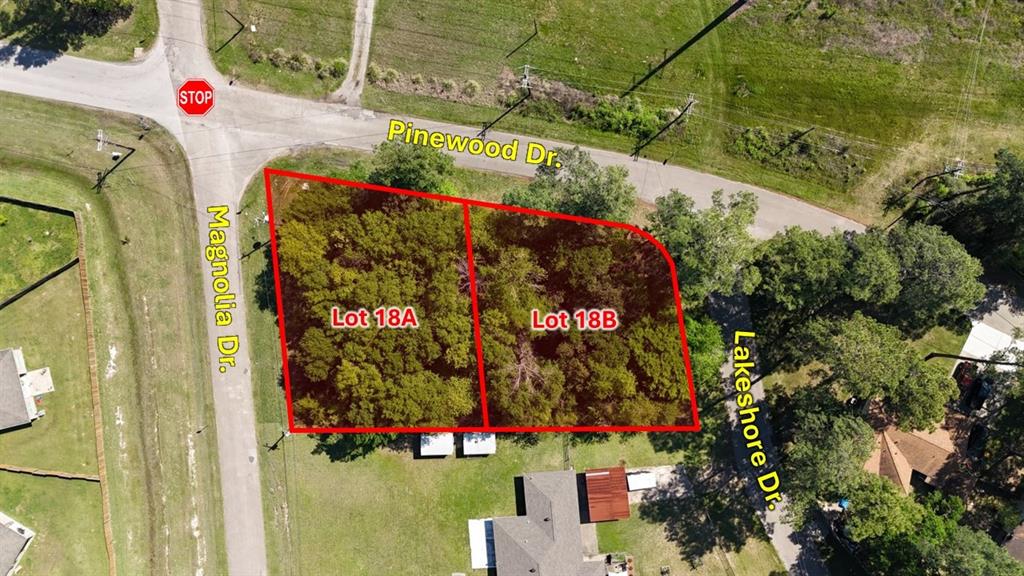 Magnolia Lane, Conroe, Texas image 9