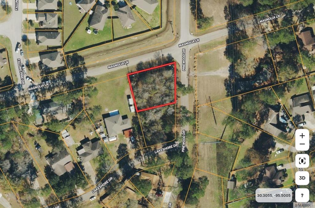 Magnolia Lane, Conroe, Texas image 5