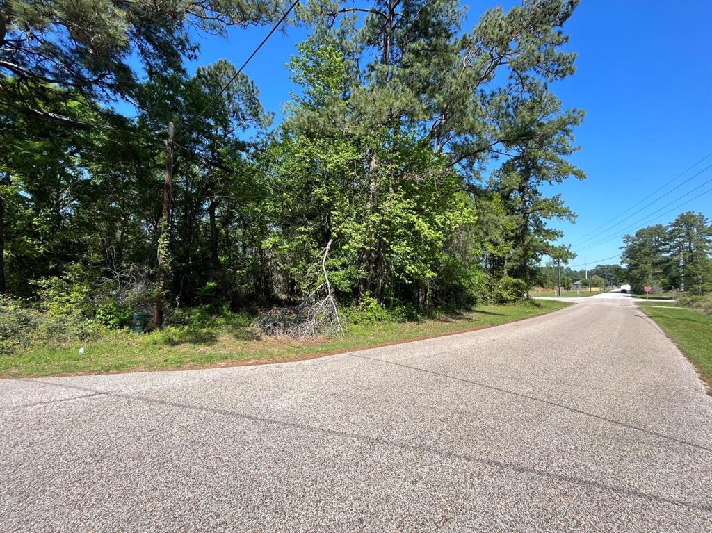 Magnolia Lane, Conroe, Texas image 3