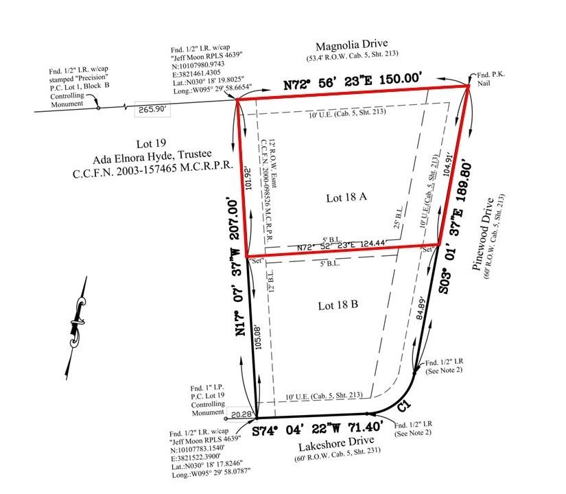 Magnolia Lane, Conroe, Texas image 6