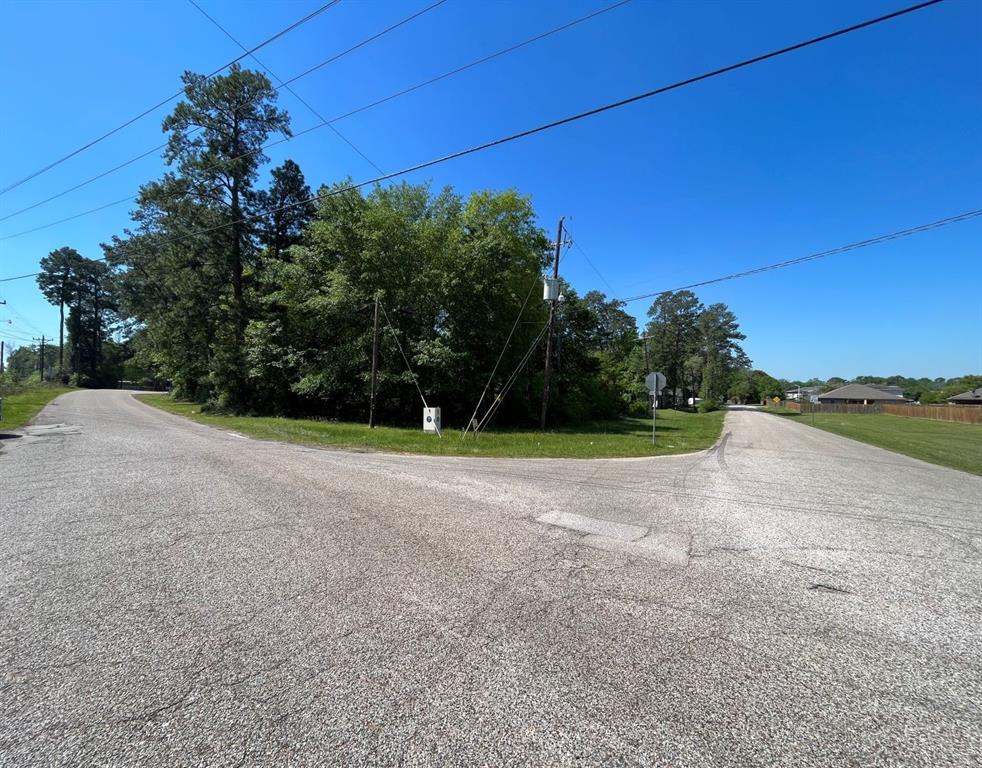 Magnolia Lane, Conroe, Texas image 4