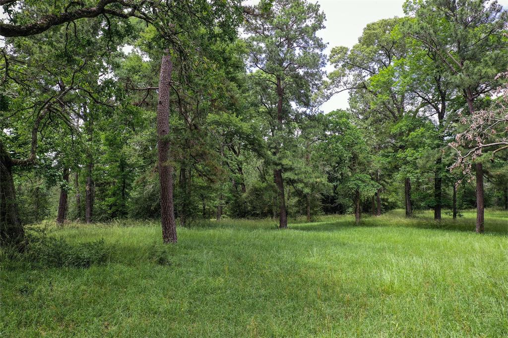 TBD Colomb Street, Trinity, Texas image 6