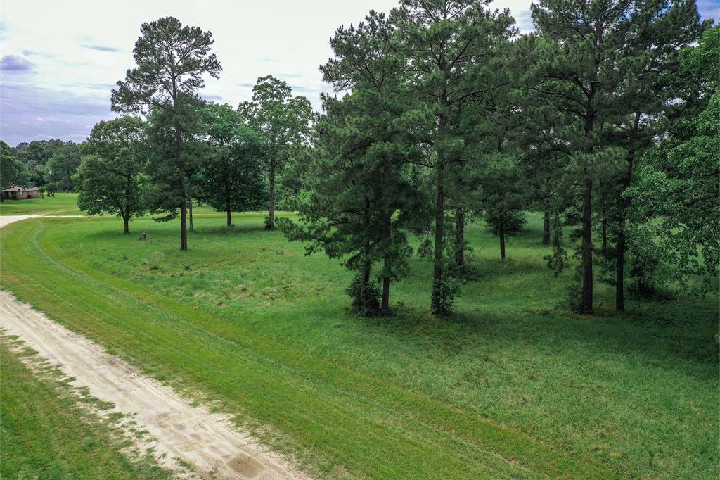 TBD Colomb Street, Trinity, Texas image 8