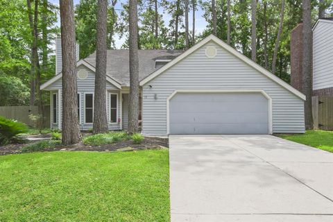 19 Sylvan Forest Drive The Woodlands TX 77381