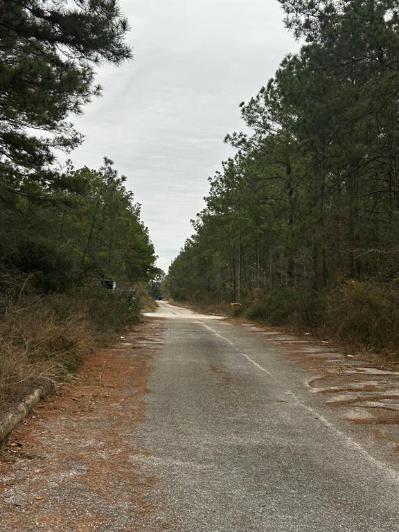 Baltic Drive, Drive, Humble, Texas image 2