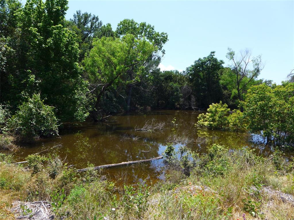 488 Triple 7 Trail, Killeen, Texas image 14