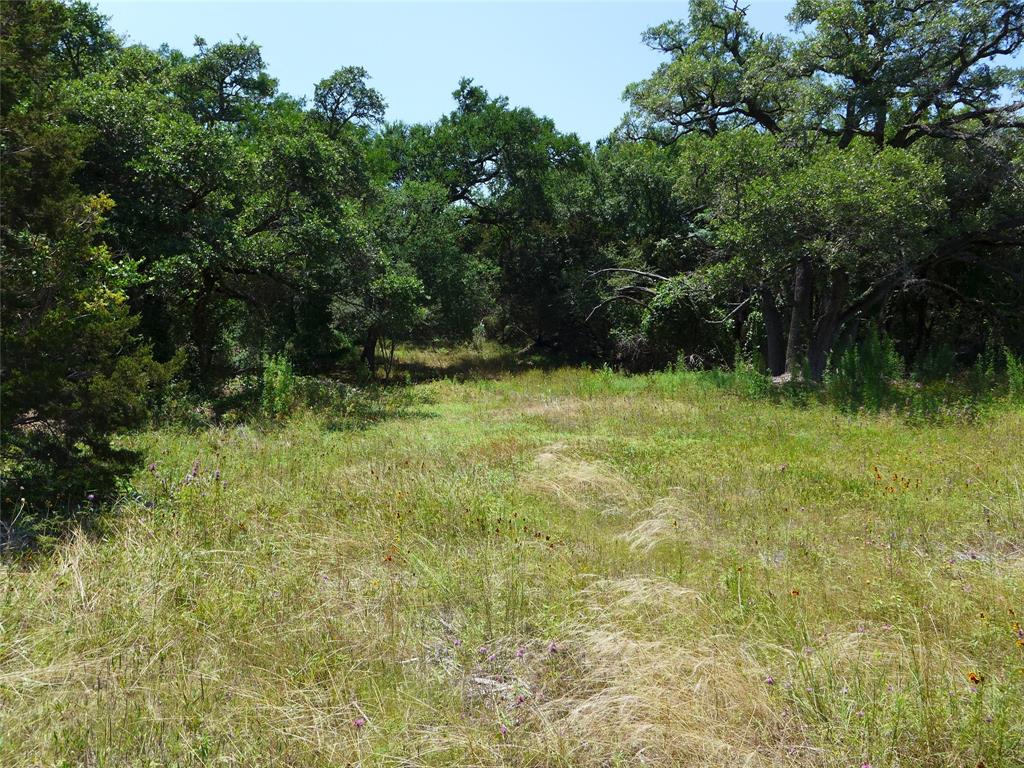 488 Triple 7 Trail, Killeen, Texas image 16