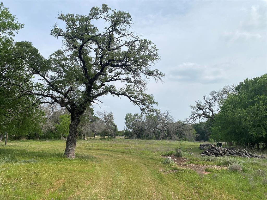 488 Triple 7 Trail, Killeen, Texas image 20