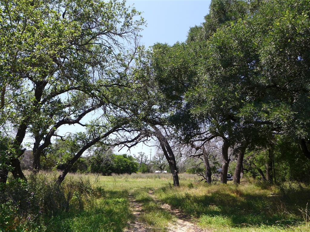 488 Triple 7 Trail, Killeen, Texas image 7