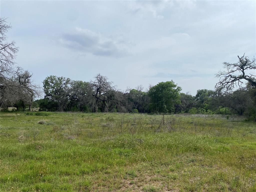 488 Triple 7 Trail, Killeen, Texas image 19