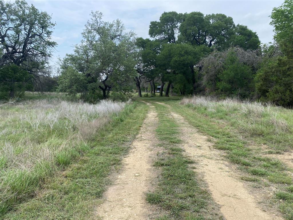 488 Triple 7 Trail, Killeen, Texas image 6