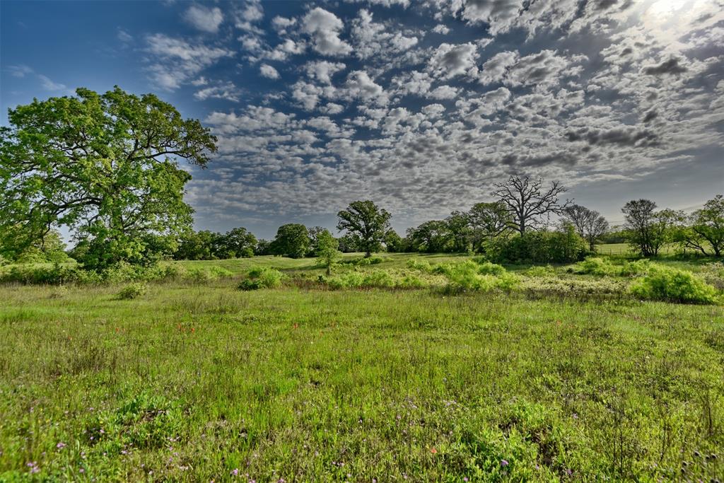 7237 County Rd 170, Track B, Caldwell, Texas image 9