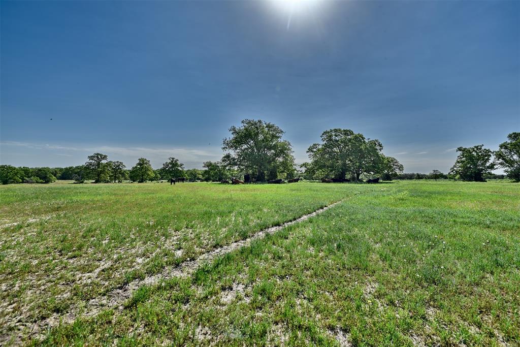 7237 County Rd 170, Track B, Caldwell, Texas image 8